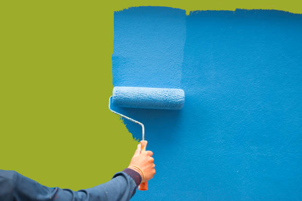 Professional Mold Removal in Bakersfield, CA